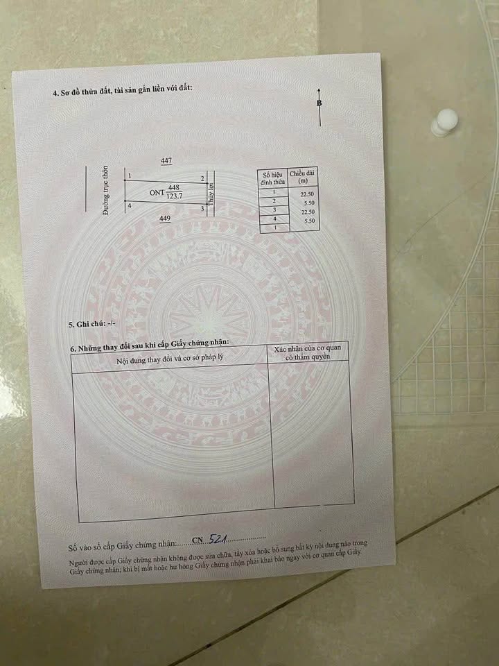 Đất nền Tây Ninh, Tiền Hải 123m² - Sổ đỏ chính chủ, ô tô tránh nhau!