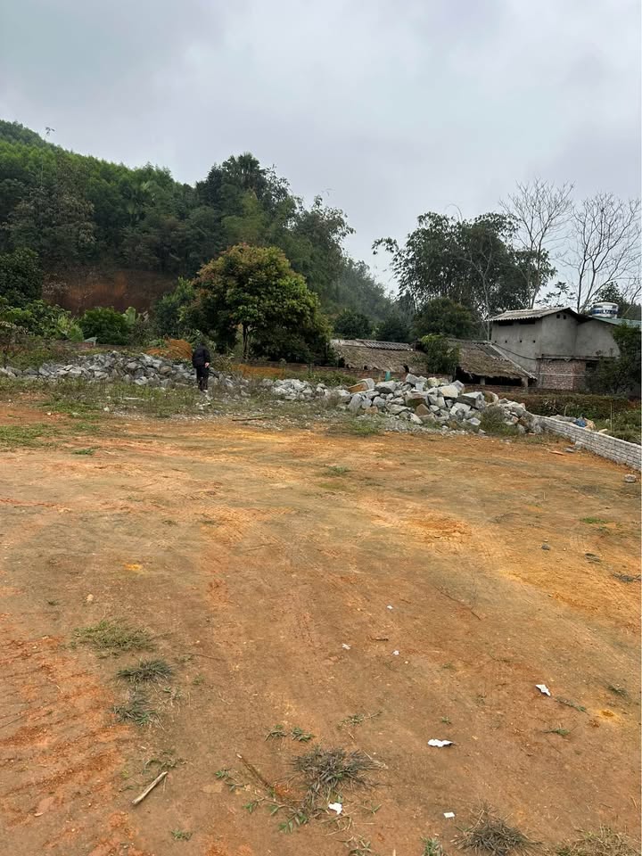 Đất nền Tuyên Quang 115m² giá 970 triệu - Giá tốt hiếm có!