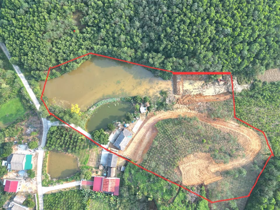 Đất Vườn Yên Lập 7000m² - Sổ Đỏ, Giá 1 Tỷ - Nghỉ Dưỡng Lý Tưởng