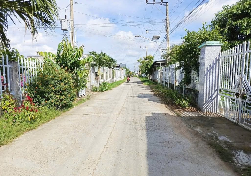 Đất Vườn Hàm Thuận Bắc 1500m² - Nghỉ Dưỡng Lý Tưởng, Sổ Đỏ Sẵn Sàng!