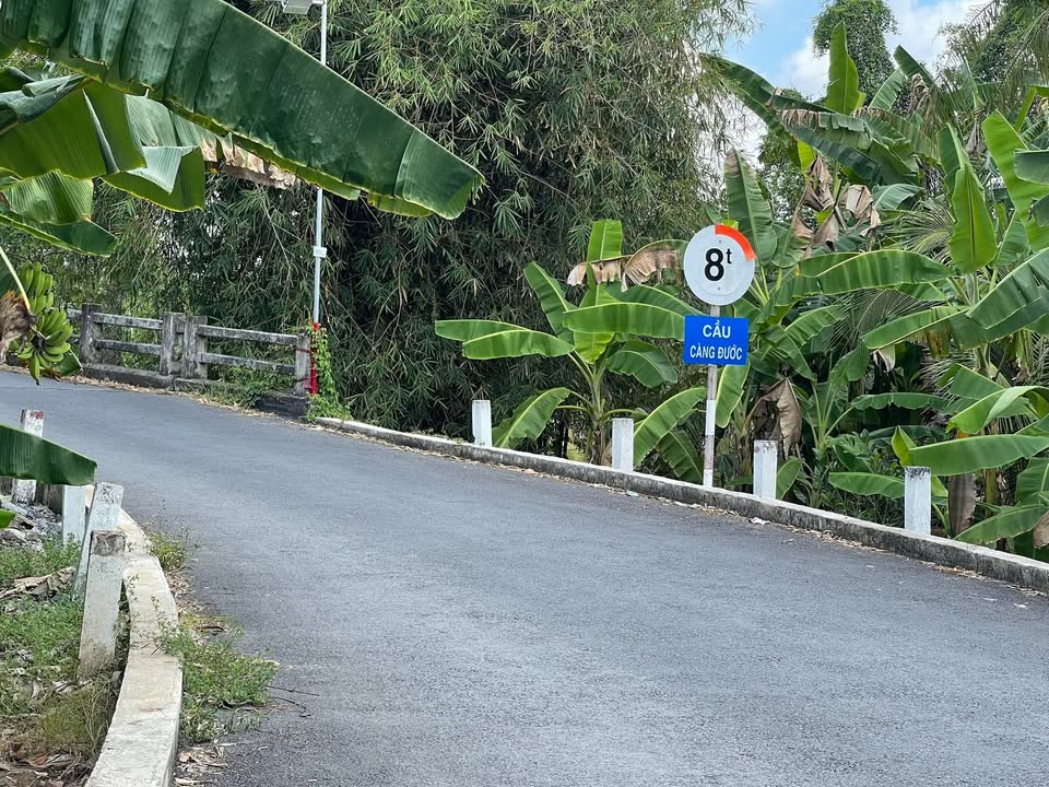 Đất Vườn Nghỉ Dưỡng Phong Điền, Cần Thơ - 2123m² Sổ Hồng Thổ Cư - 4 Tỷ