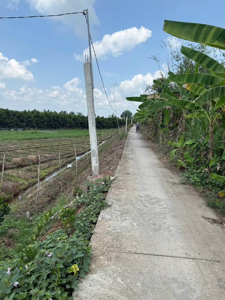 Đất vườn Mỹ Thuận 2000m² - View sông mát mẻ, sổ hồng sẵn