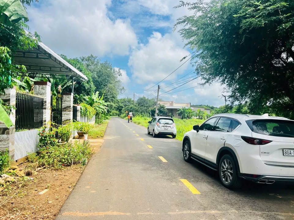 Đất nền Xuyên Mộc 1000m² - Tiềm năng tăng giá vượt trội!