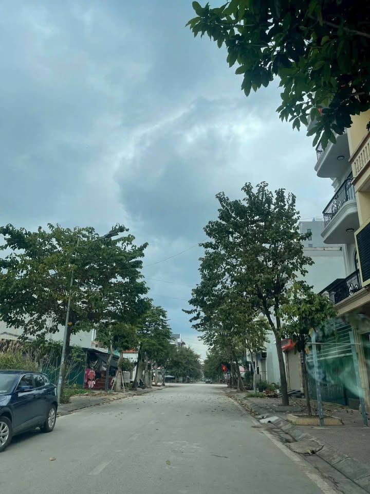 Đất Tái Định Cư Mai Pha 85m² - Sổ Đỏ Rõ Ràng, Giá 3 Tỷ