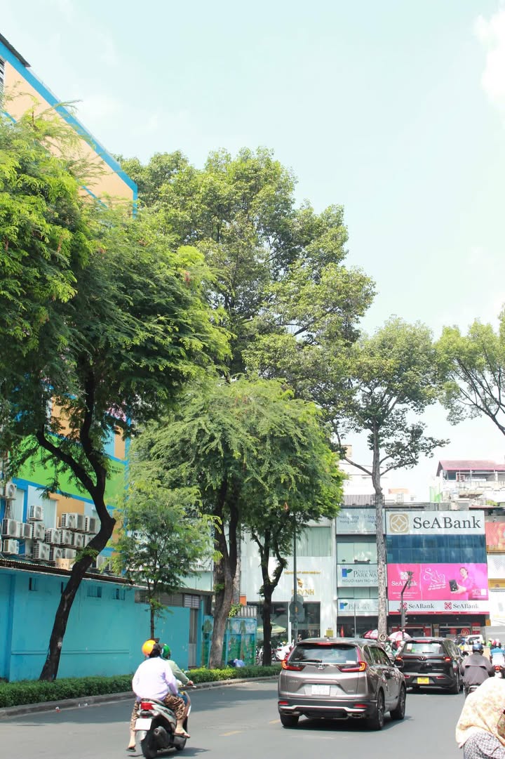 Nhà riêng Sư Vạn Hạnh Q10 27m² - Sẵn sàng ở ngay!