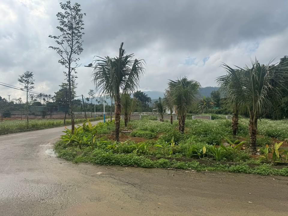 Đất Vườn Tân Tiến, Chương Mỹ 500m² - Nghỉ Dưỡng Lý Tưởng!