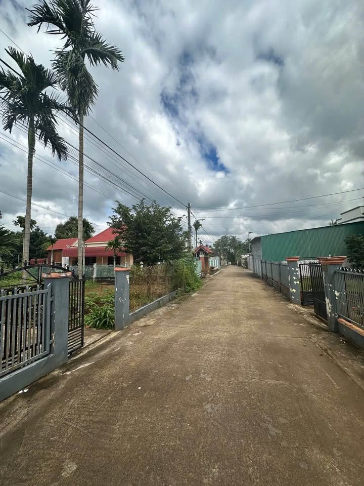 Đất Vàng Trung Tâm Chợ Ea Pốk - 250m² Thổ Cư, Giá 1.479 Tỷ