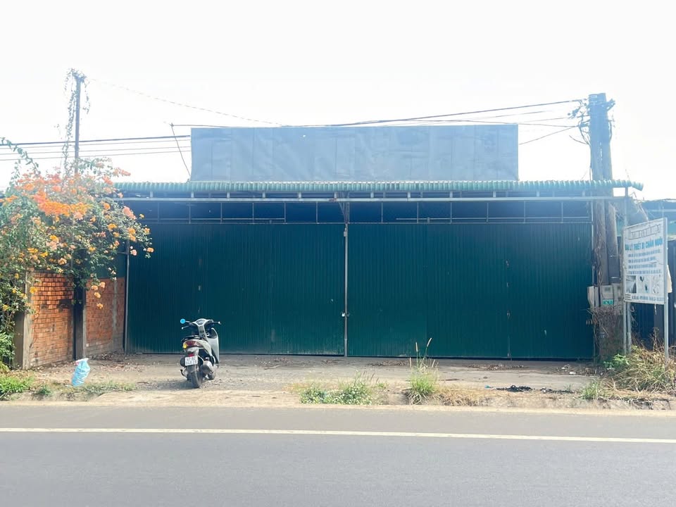 Đất nền Tỉnh lộ 1, Buôn Đôn 960m² - Đất thổ cư 100%