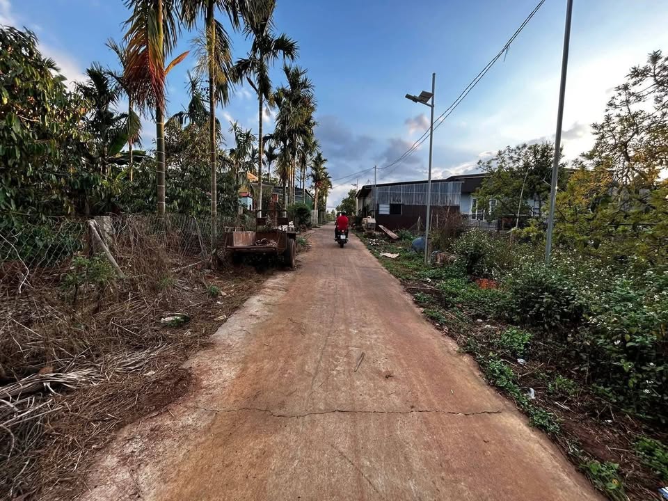 Đất nền Phú Lộc Krông Năng 245m² giá 980 triệu - Sổ đỏ chính chủ!