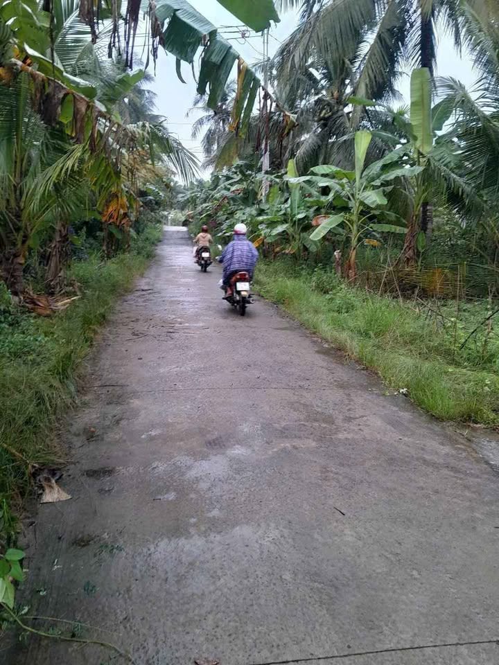 Đất nền Phong Nẫm, Bến Tre 883m² giá 500 triệu - Sổ đỏ chính chủ!