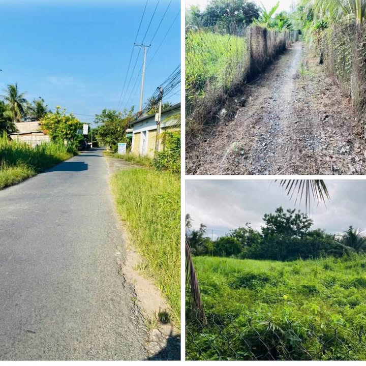 Bán đất nền biệt thự Thành Triệu, Bến Tre - 300m² thổ cư, giá 550 triệu