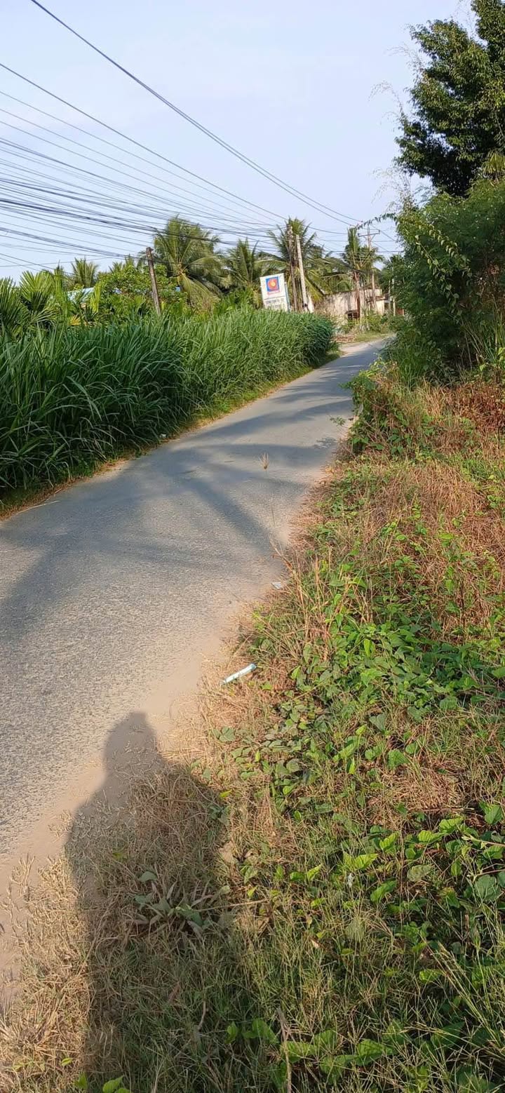 Đất nền Lương Hòa, Giồng Trôm 319m² - Pháp lý rõ ràng!