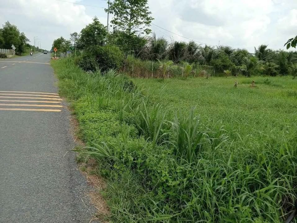 Bán Đất Mặt Tiền ĐT 883, Lương Hòa, Bến Tre - 1070m² Giá 2.5 Tỷ