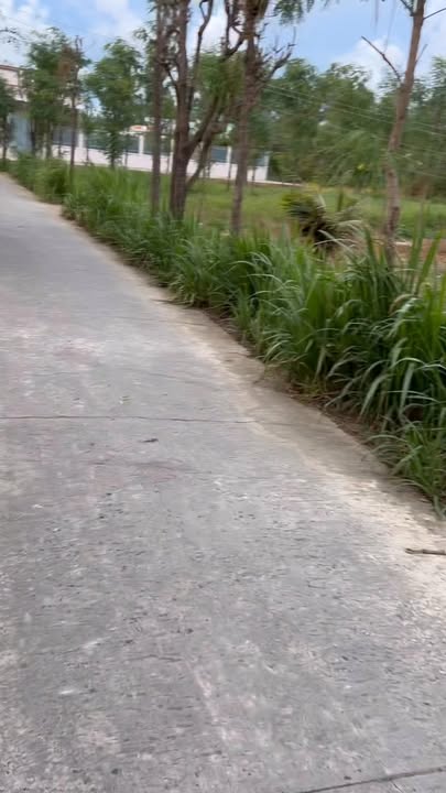 Đất nền Tân Tây, Gò Công Đông 891m² - Sổ đỏ chính chủ, đường ô tô