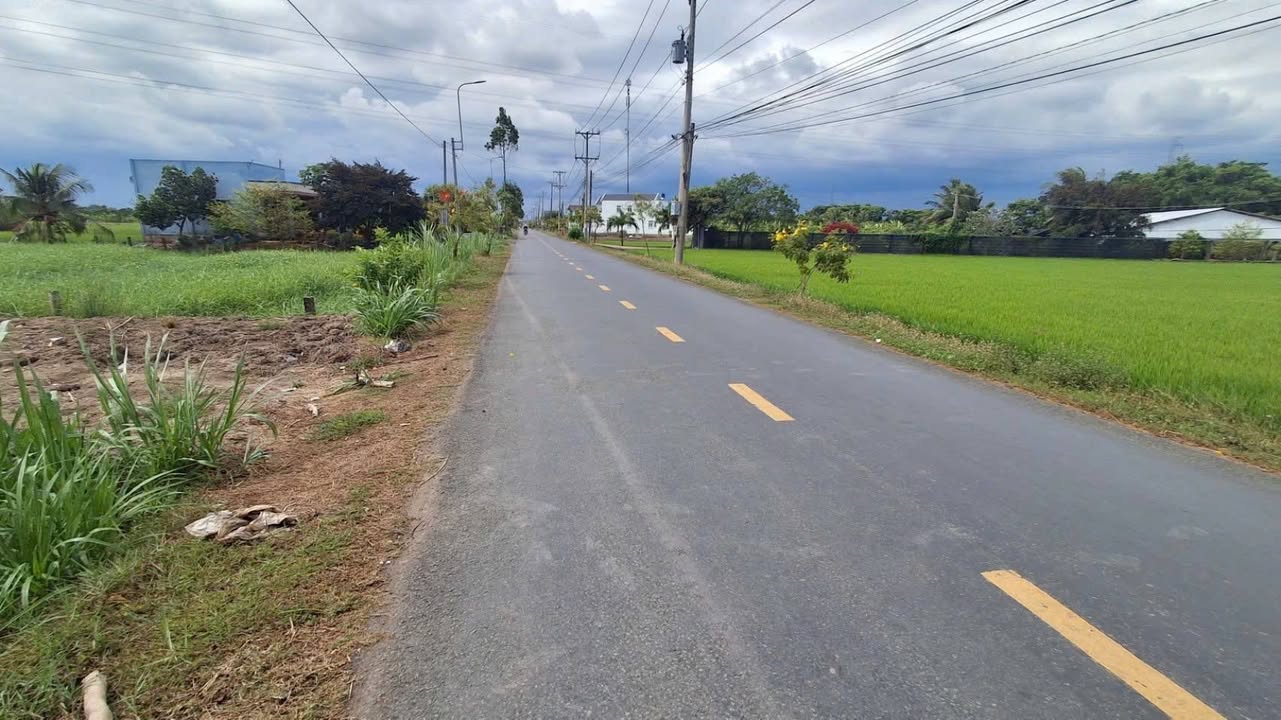 Đất nền Quê Mỹ Thạnh, Long An 1500m² - Sổ đỏ chính chủ!