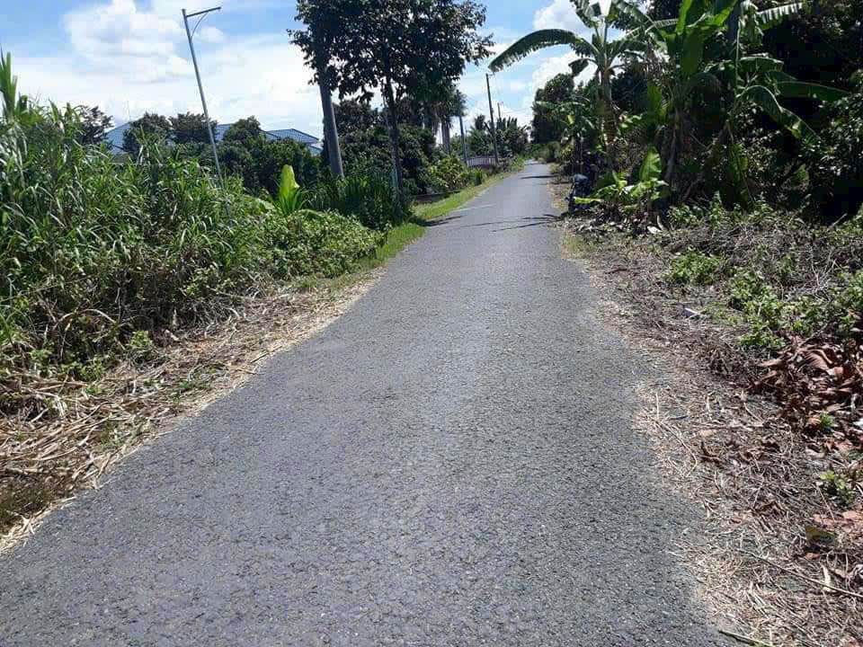 Đất nền Tân Hội Vĩnh Long 129m² 850 triệu - Hạ tầng hoàn thiện