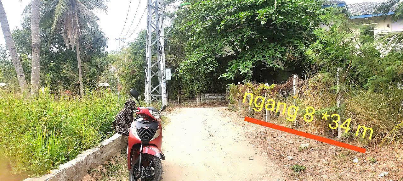 Đất view sông Ngọc Hiệp 272m² giá 8.704 tỷ - Đường to ô tô