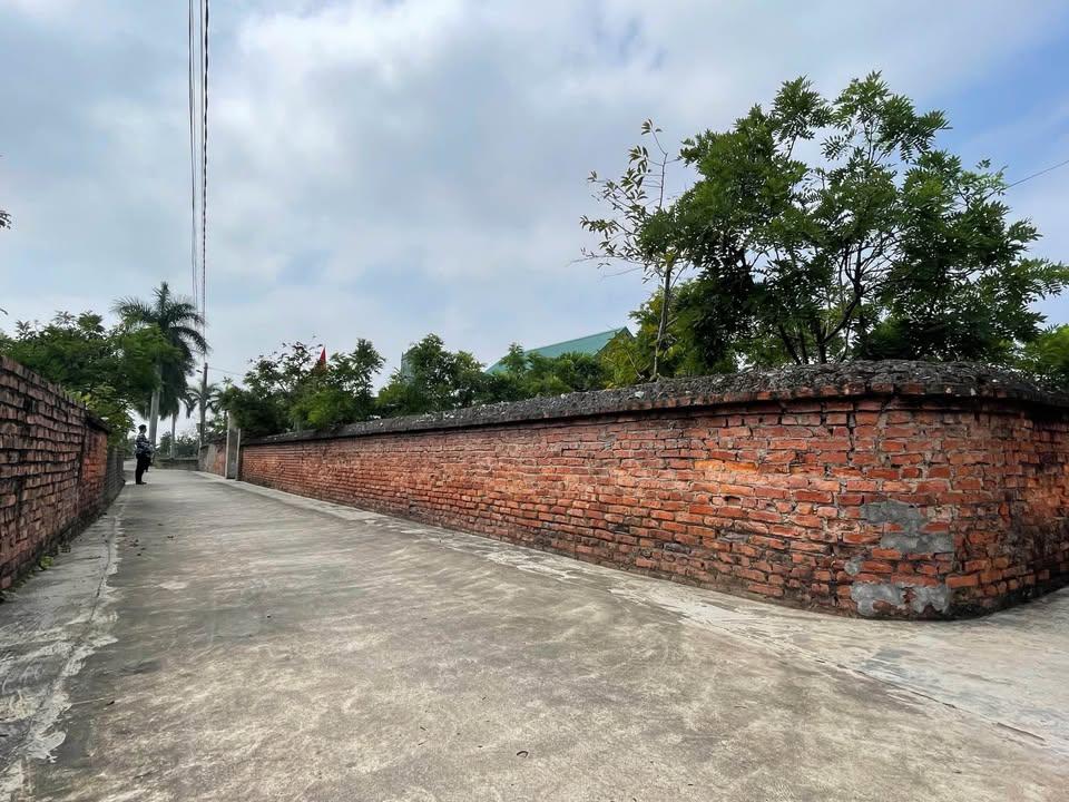 Đất nền Thụy Ninh, Thái Thụy 70m² chỉ 300 triệu - Giá đầu tư tốt!