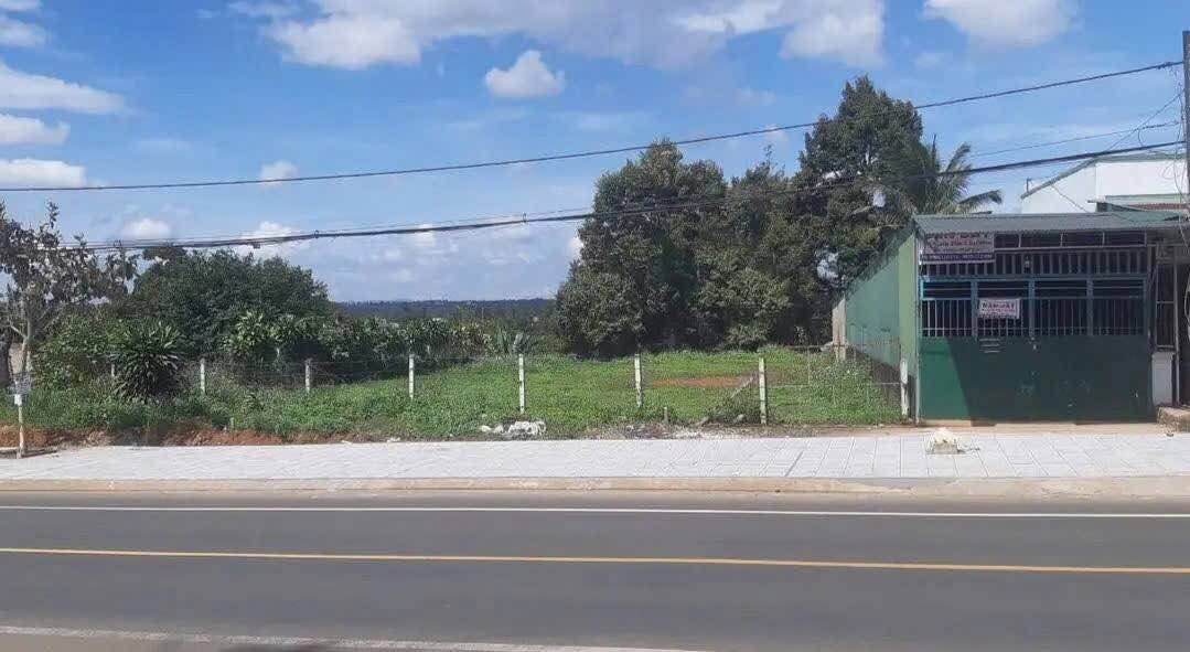 Đất QL20 B' Lá 2.000m² 26 tỷ - Sổ đỏ chính chủ, mặt tiền rộng