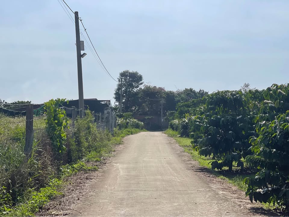 Đất vườn Homestay Bảo Lộc 1159m² - View Hồ Lộc Thanh, nghỉ dưỡng!