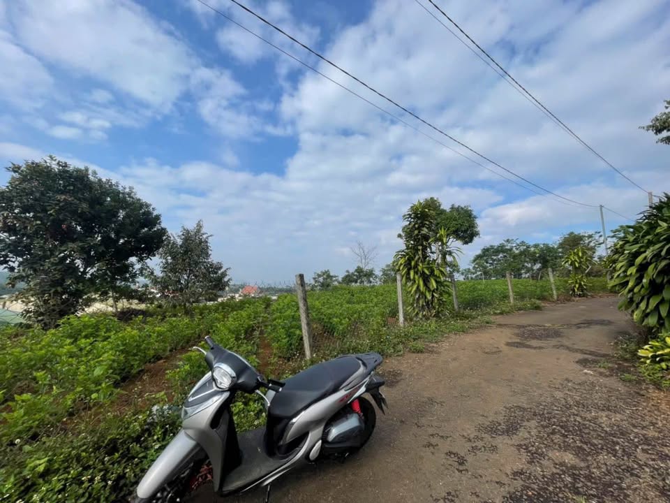 Đất nền Lý Thái Tổ Bảo Lộc 1633m² - Tiềm năng tăng giá vượt trội!