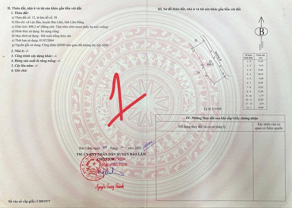 Bán Đất Nền 13.000m² Lộc Bảo, Lâm Đồng - Sổ Đỏ Thổ Cư, Giá 6.1 Tỷ