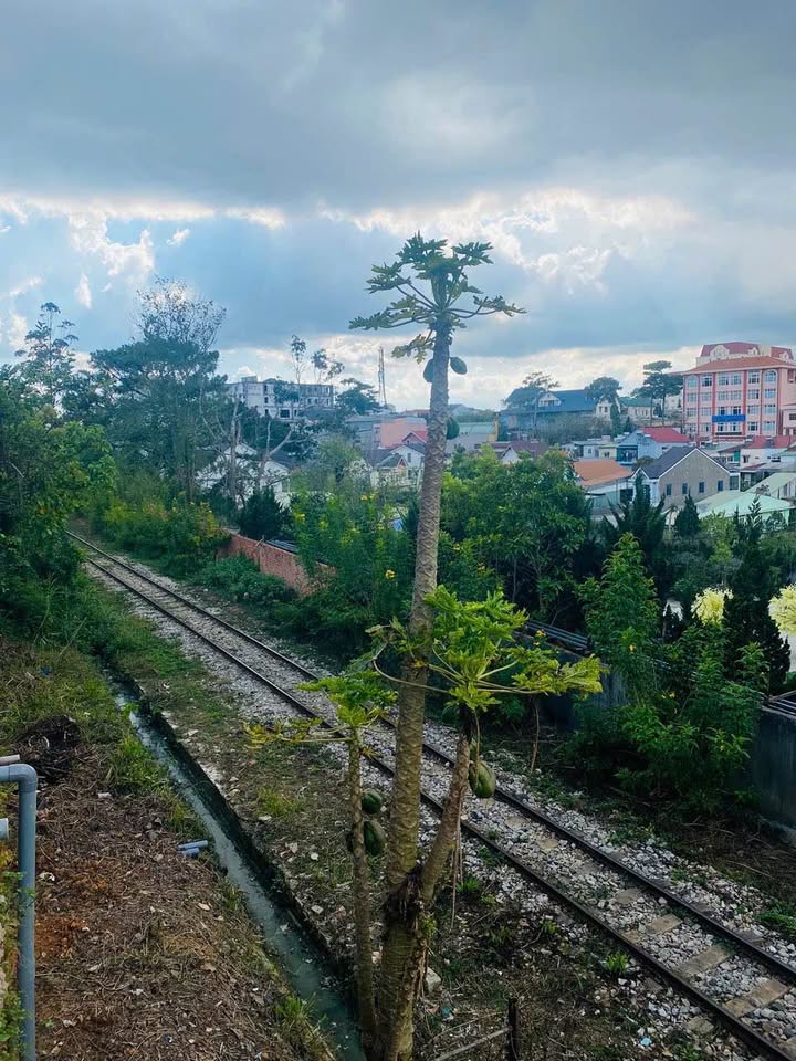 Cho thuê Mặt bằng Cafe Home Đà Lạt - Hùng Vương, P9 - 200m², 15 Triệu/Tháng