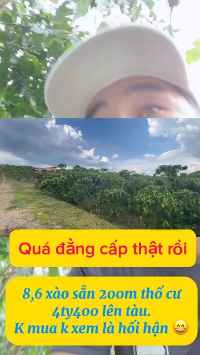 Đất nền Bảo Lâm 8600m² 4.4 tỷ - Tiềm năng tăng giá vượt trội!