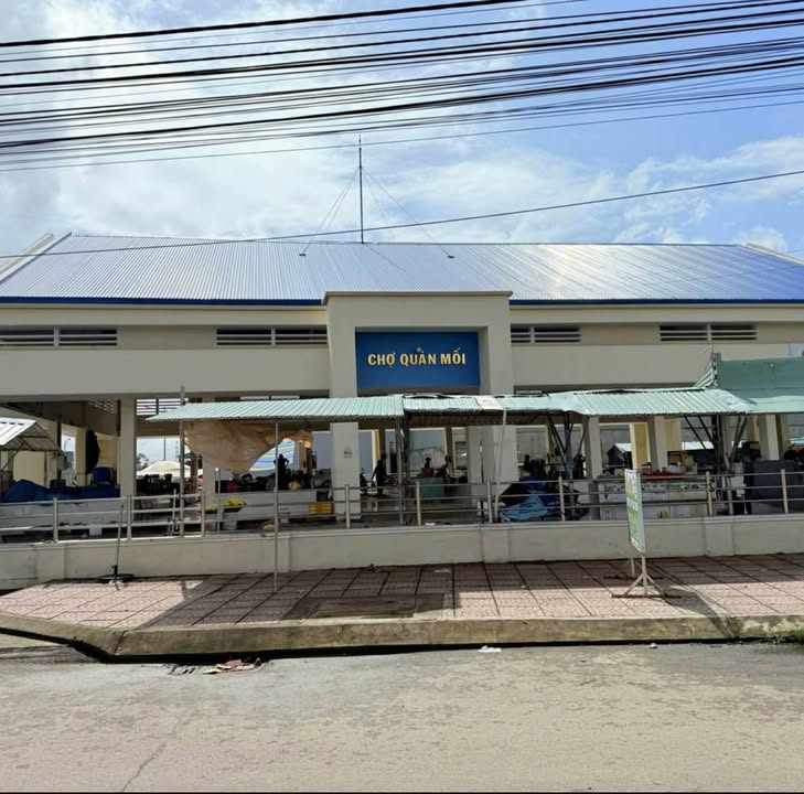 Đất Vàng 100m² Mặt Tiền 26.5m Tại Chợ Quán Mối, Tuy Phước - Kinh Doanh Sầm Uất