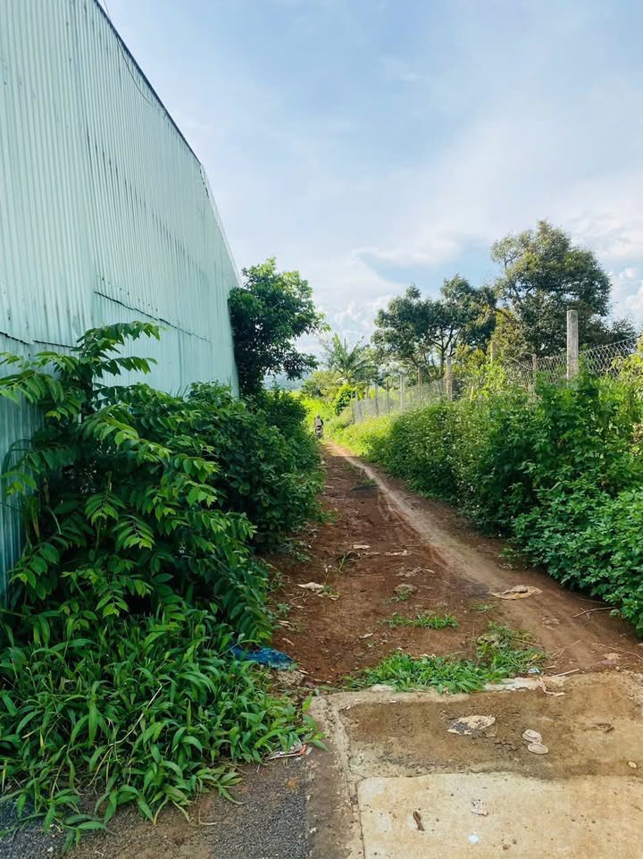 Đất nền Xã Trà Đa Pleiku 1200m² - Tiềm năng tăng giá vượt trội!