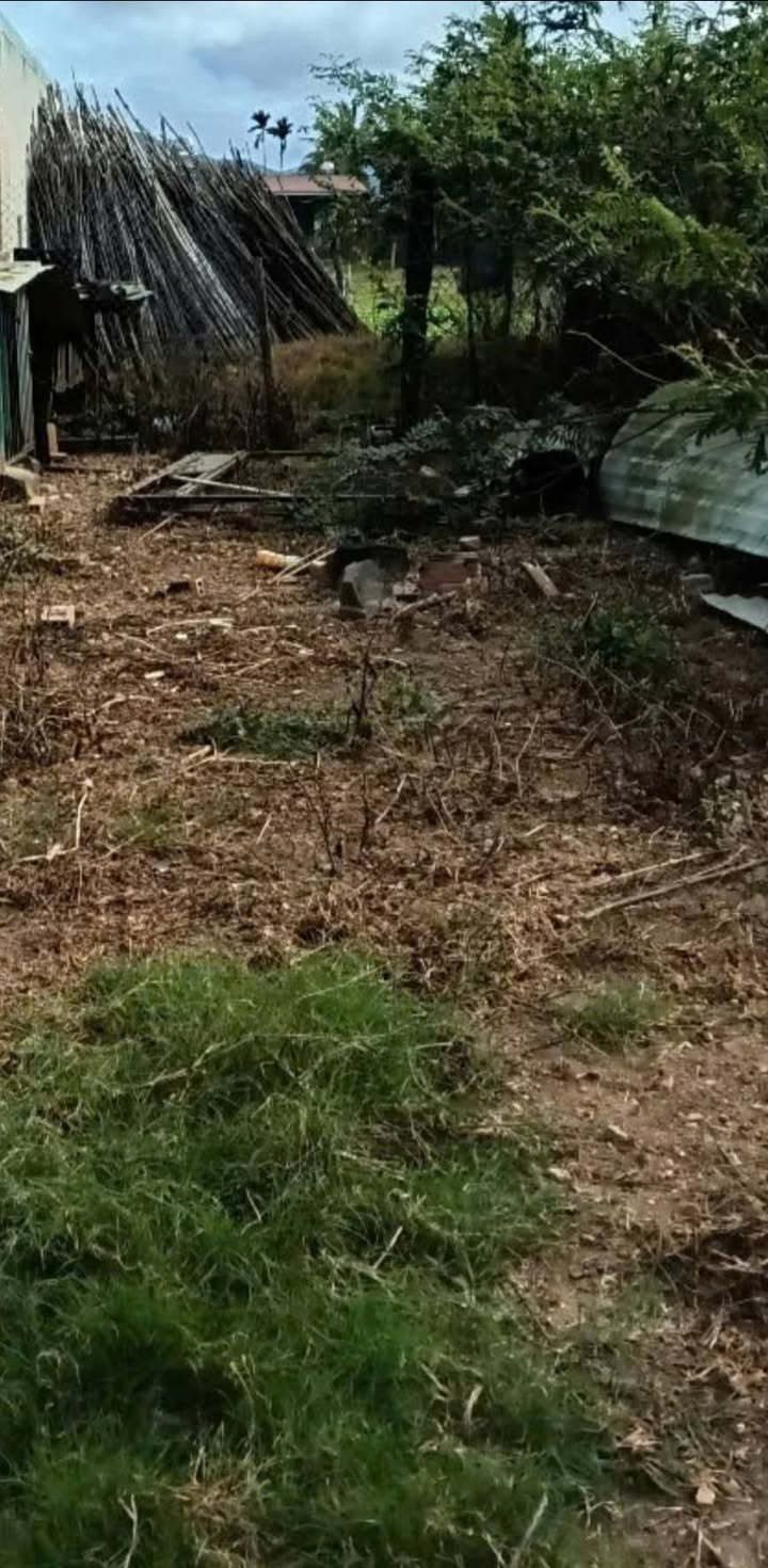 Đất nền Phú Hội Đức Trọng 113m² giá 1 tỷ - Sổ đỏ chính chủ!