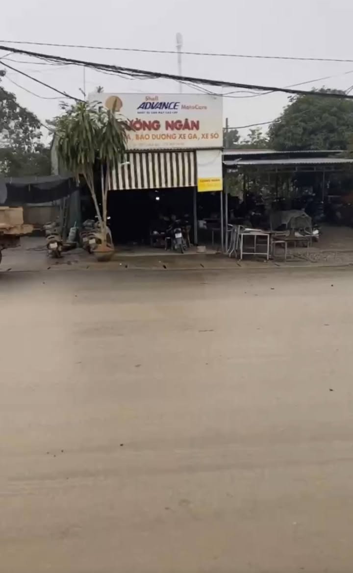 Đất nền Phú Thọ 260m² - Sổ đỏ chính chủ, kinh doanh đắc địa