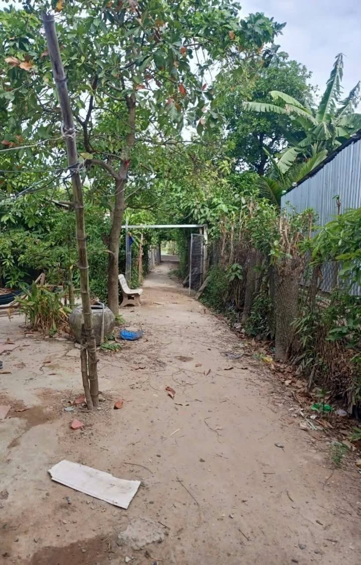 Bán Đất Trà Vinh 176m² Sổ Đỏ - Gần Chợ Sâm Bua, Giá Hời