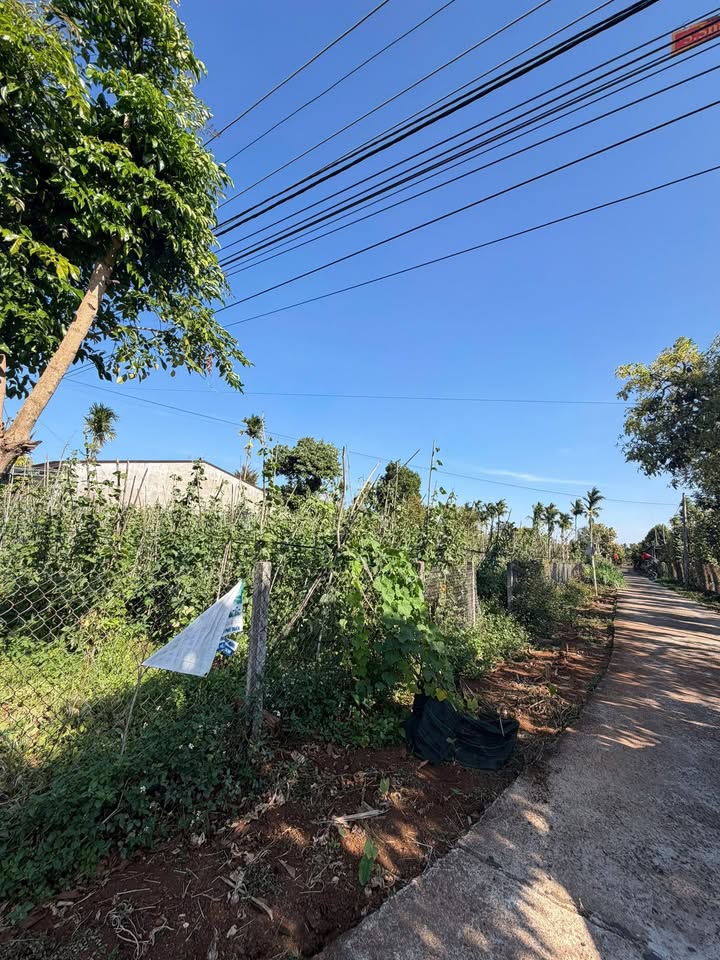 Đất nền Hẻm Y Wang Ea Kao 112m² - Sổ đỏ chính chủ, giá tốt!