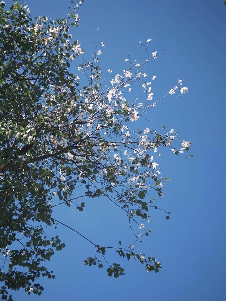 Đất nền Huyện Tuy Đức 220m² - Tiềm năng tăng giá vượt trội!