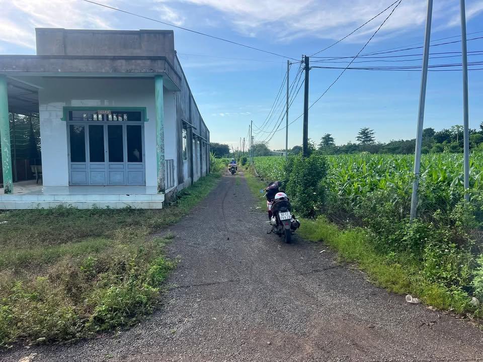 Đất Xuân Tây Cẩm Mỹ 6824m² 4.5 Tỷ - 3 Mặt Tiền Giá Ngộp!