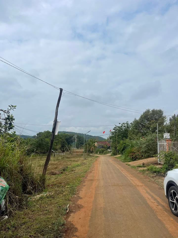 Đất Vườn Đắk Ru 972m² - View Hồ Đẹp, Sầu Riêng Rộ Bông!