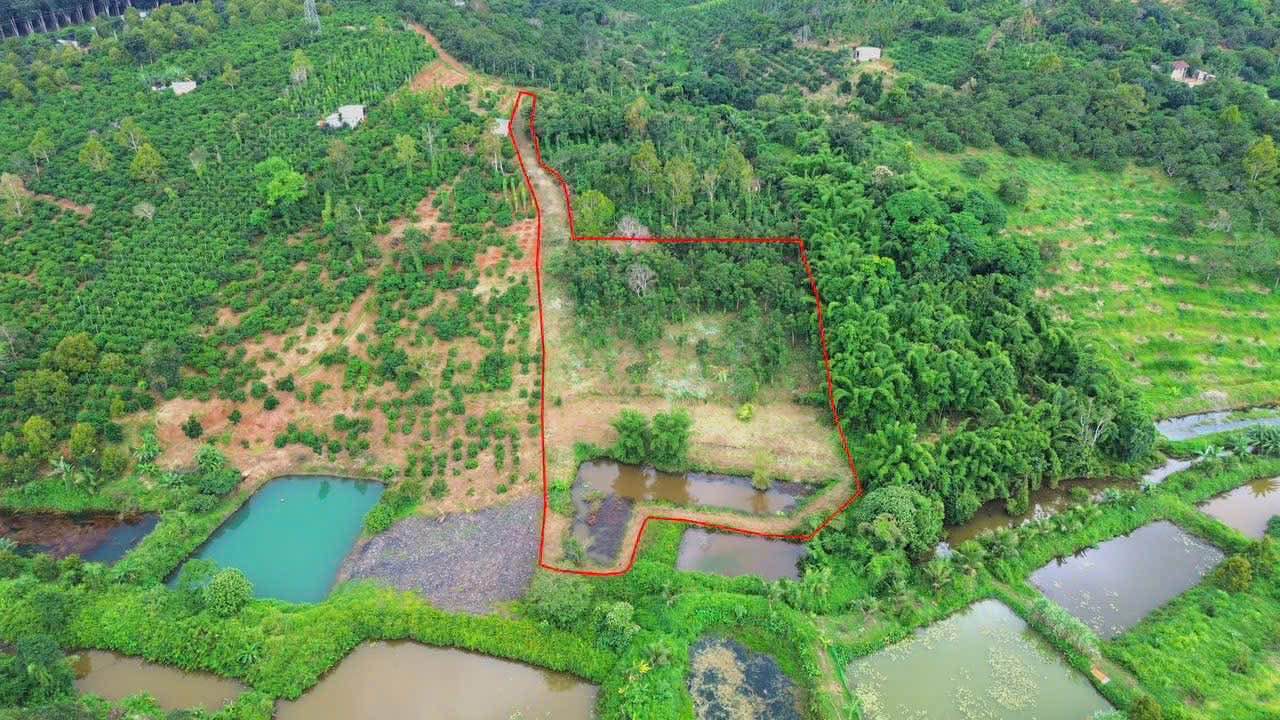 Đất nền Nghĩa Tân Cư Jút 1800m² - Sổ đỏ chính chủ, ô tô tận nơi!