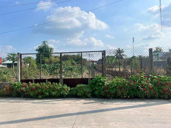 Đất vườn Đức Hòa Thượng 384m² - Sổ hồng chính chủ, tiềm năng đầu tư!