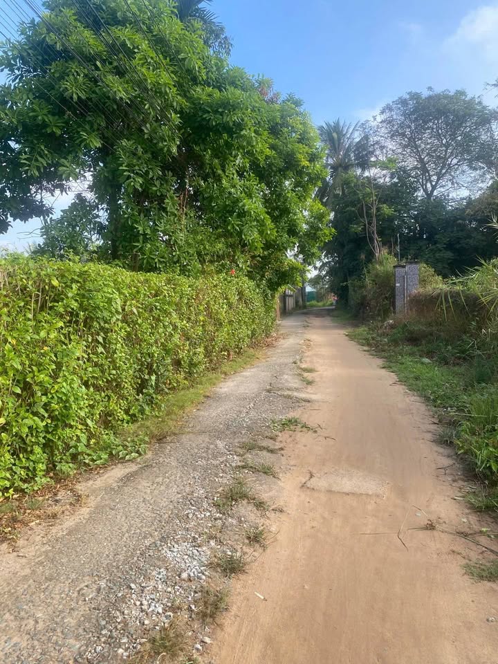 Đất nền Hẻm 7 Cao Văn Lầu, TP Tân An 342m²/nền – Sổ đỏ chính chủ