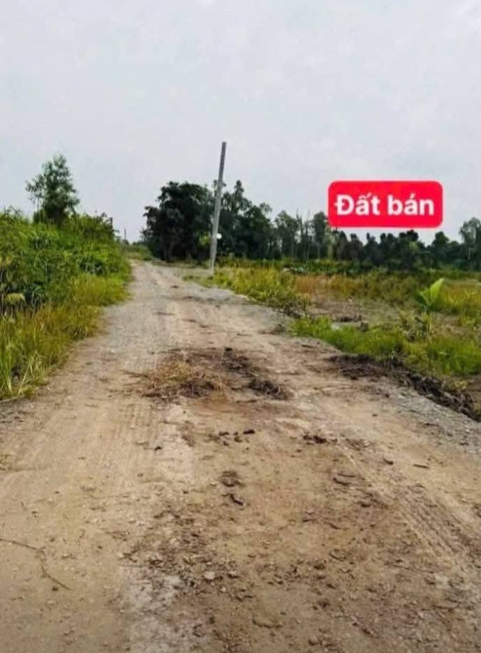 Đất Vườn Long An 4370m² - Sổ Hồng Sẵn, Tiềm Năng Vượt Trội!