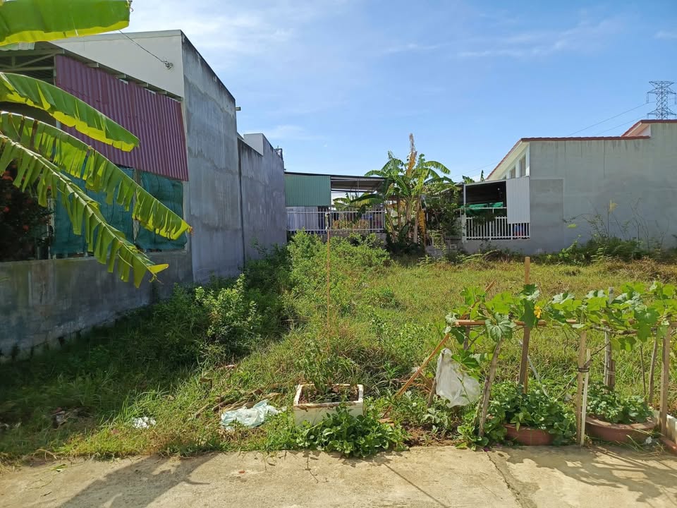 Bán Đất Thổ Cư Hàm Thắng 124m² - Sổ Đỏ Sẵn Sàng