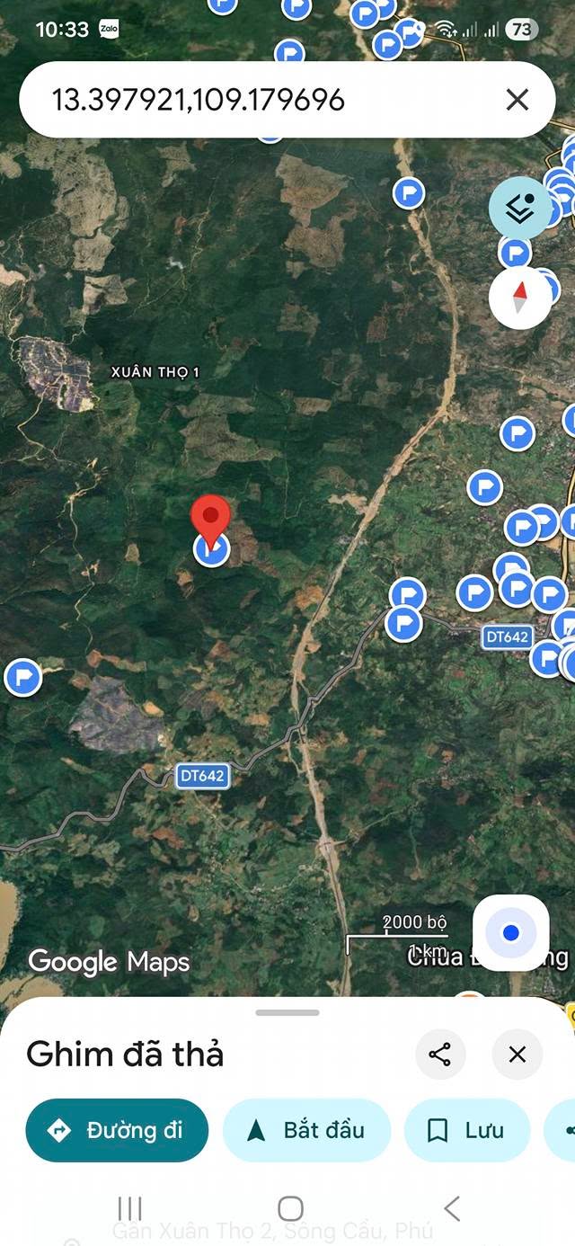 Đất Rừng Sản Xuất 28ha Xã Xuân Thọ, Sông Cầu - Tiềm Năng Đầu Tư Lớn