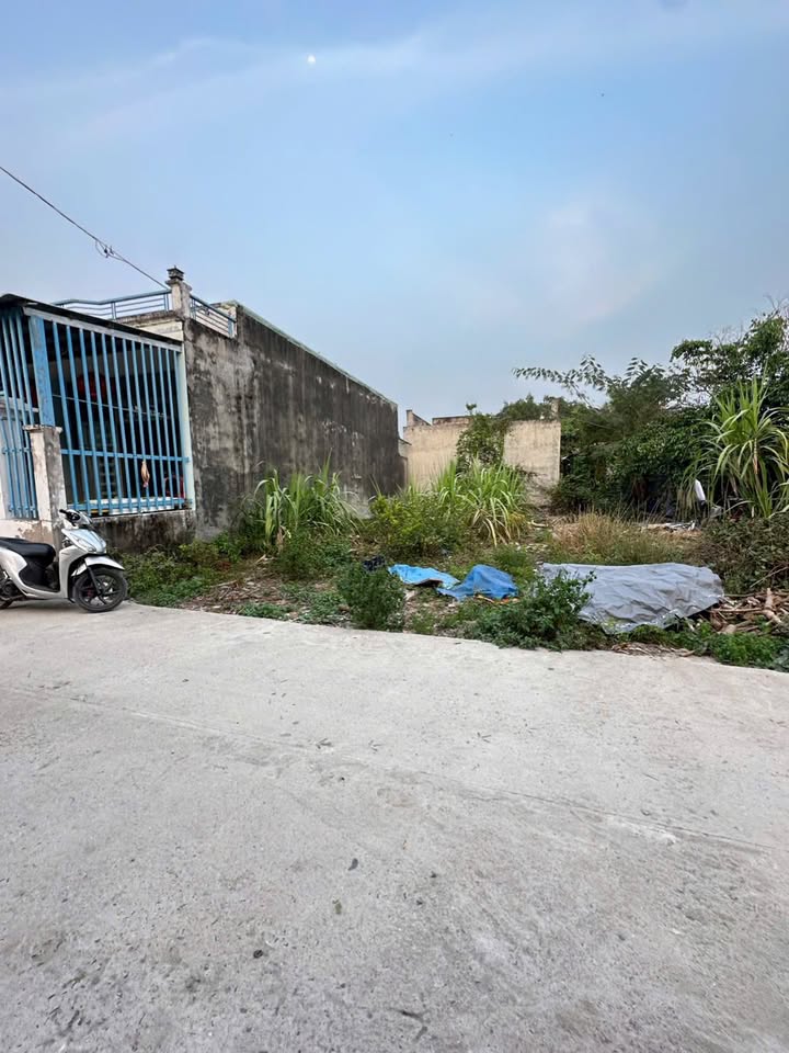Bán Gấp 2 Nền Đất 100m² Mỹ Hạnh Nam, Đức Hòa - Sổ Hồng Sẵn Sàng
