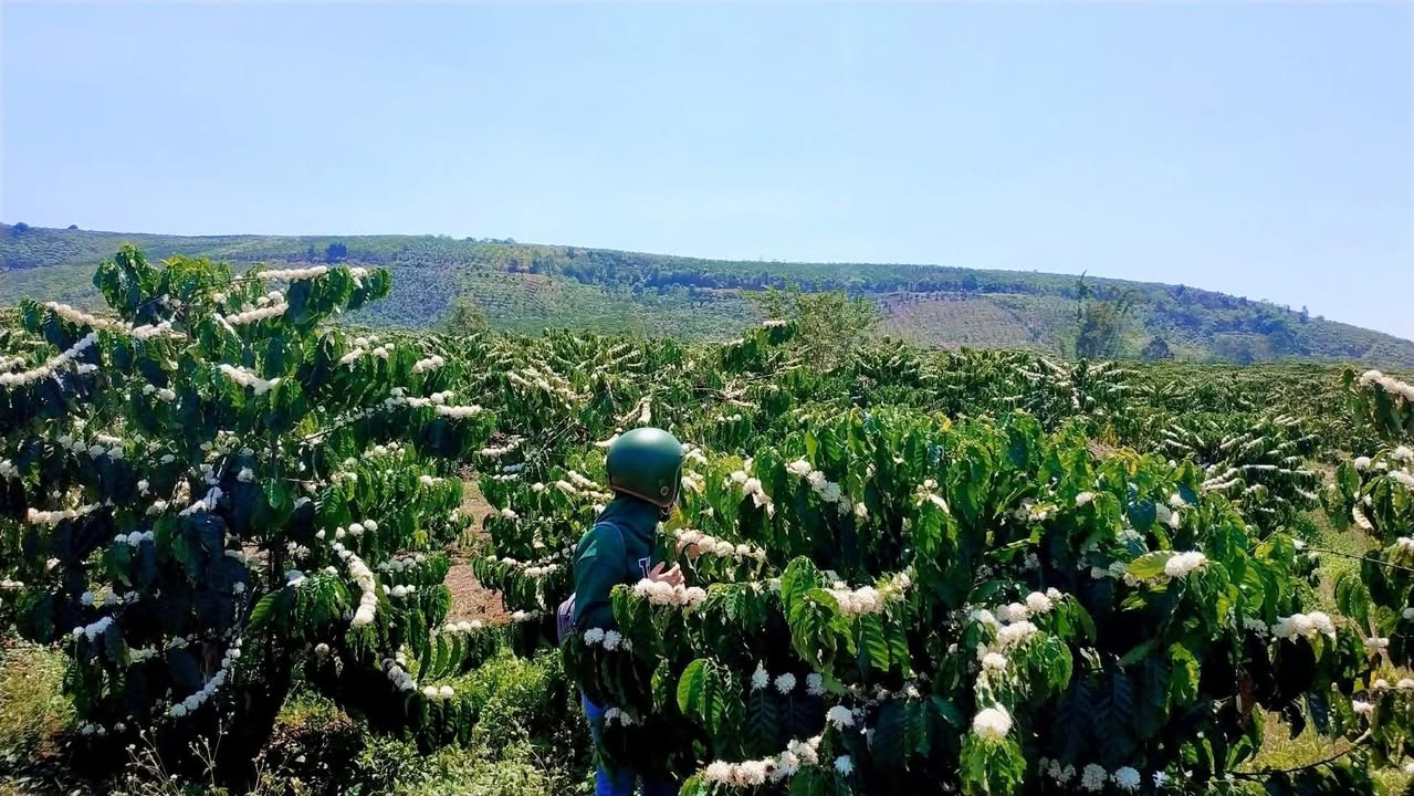 Đất Vườn Gia Hiệp 5700m² - Sổ Đỏ Chính Chủ, Đường Ô Tô Thuận Tiện!