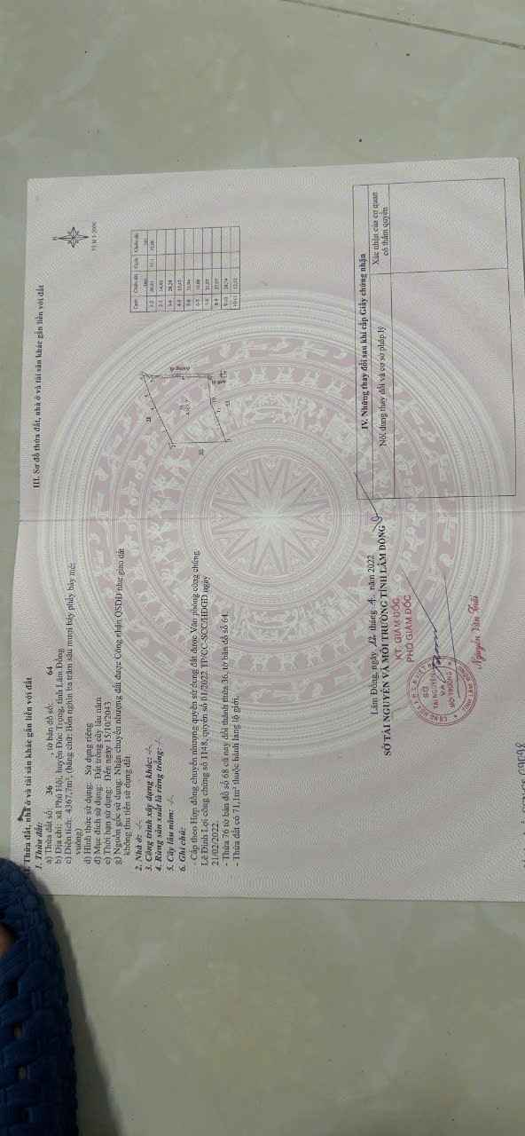 Bán Đất Vườn Phú Hội Đức Trọng 21.600m² Giá 2.5 Tỷ - Đầu Tư Dài Hạn