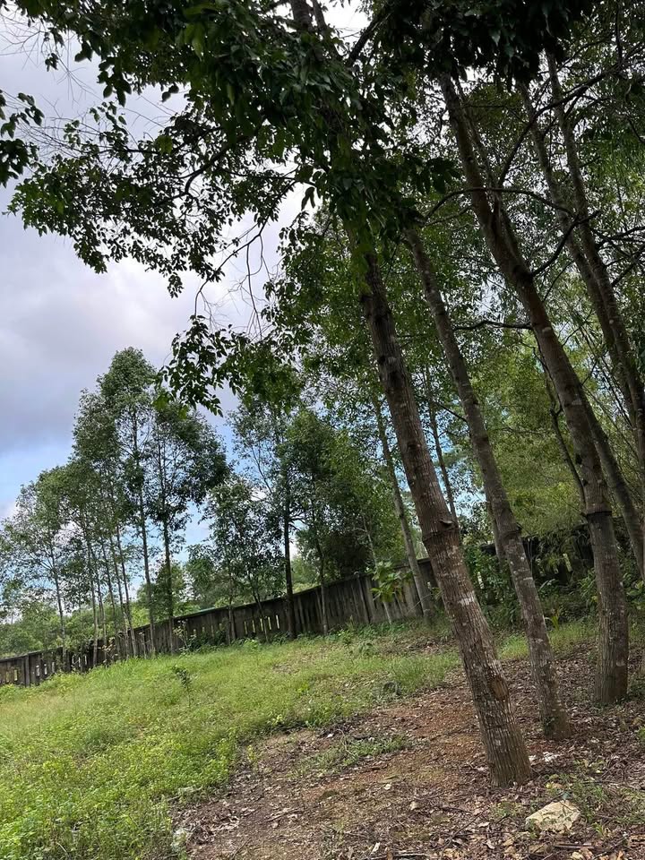 Đất Thủy Xuân TP Huế 162m² giá 1.6 tỷ - Sổ đỏ chính chủ