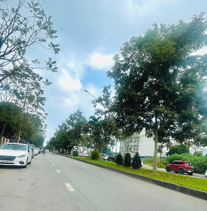 Đất nền Hướng Nam Newland - 67.5m² - Chỉ hơn 4 tỷ - Sẵn sàng xây nhà