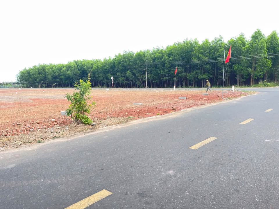 Đất nền đối diện KCN Đất Đỏ 175m² - Đất thổ cư 100%