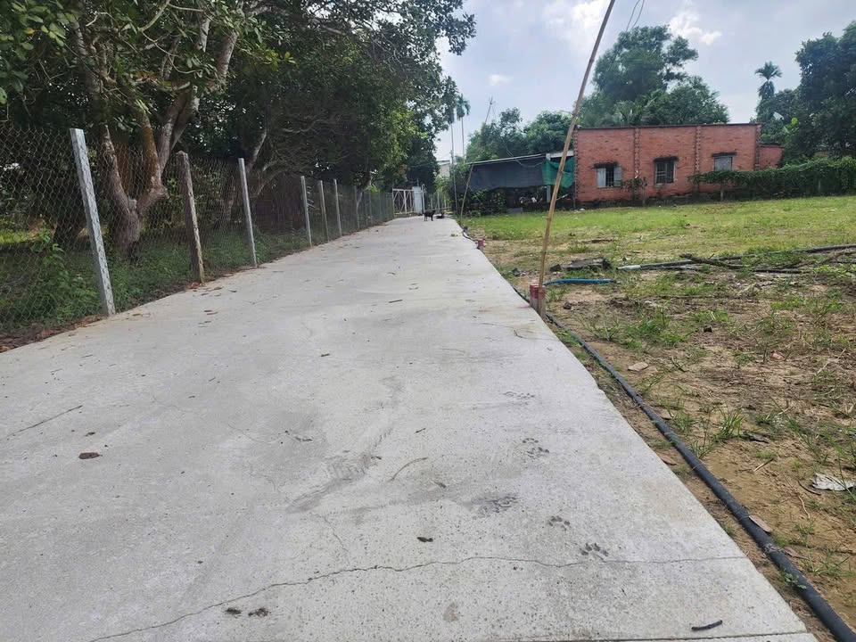 Đất Nền Láng Dài, Đất Đỏ 261m² - Đường to ô tô, Sổ đỏ sẵn sàng!